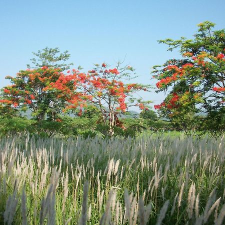 Lilawalai Resort Nong Nam Daeng Exterior foto